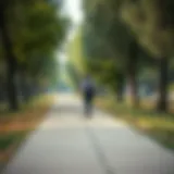 A scenic park pathway inviting for walking