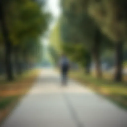 A scenic park pathway inviting for walking