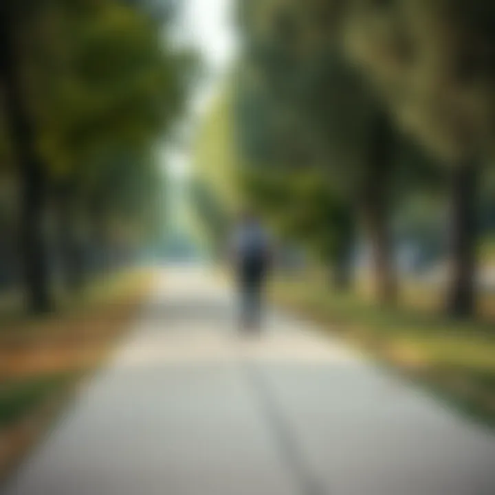 A scenic park pathway inviting for walking