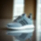 Stylish grey adidas Astir sneakers on a reflective surface