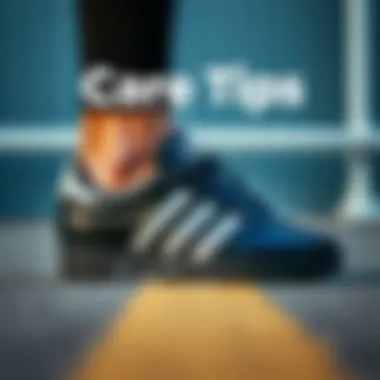 A maintenance guide graphic for the adidas Samba women's black sports shoes, highlighting care tips.