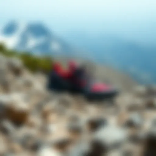 Impressive mountain trail showcasing the durability of the Adidas Terrex AX4 GTX W.