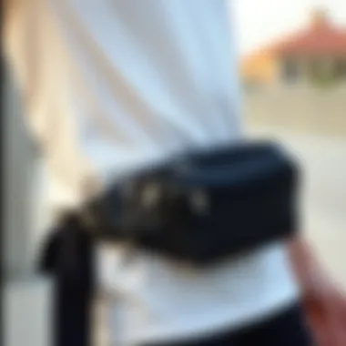 Stylish Waist Bag Stylish waist bag showcasing a blend of functionality and design