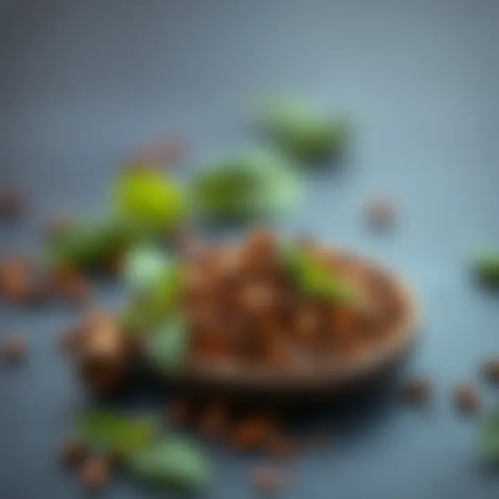 Spices known for enhancing fat metabolism