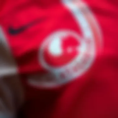 Close-up of the intricate design details of the Galatasaray jersey