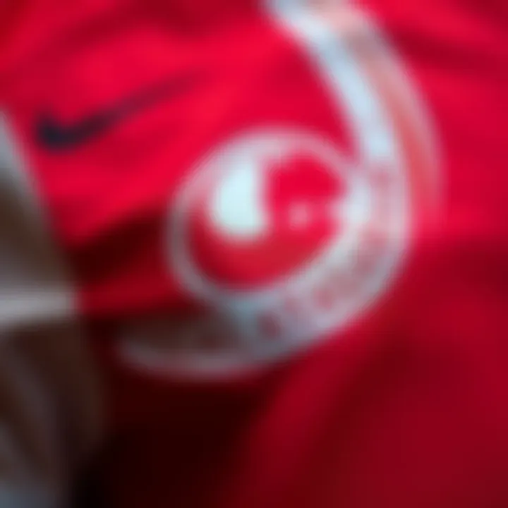Close-up of the intricate design details of the Galatasaray jersey