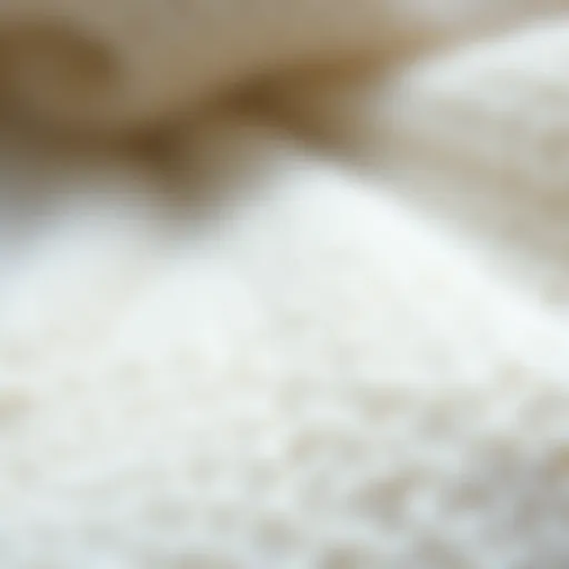 Cozy polar fabric close-up showcasing texture and warmth