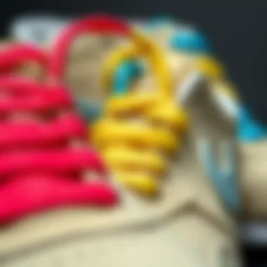 Exploring Stylish Options of Nike Shoelaces Stylish Nike shoelaces in various colors