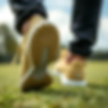 Price Comparison of Pepino Footwear Comparison of Pepino shoe pricing to other brands