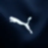 Puma logo showcasing its brand identity in sportswear