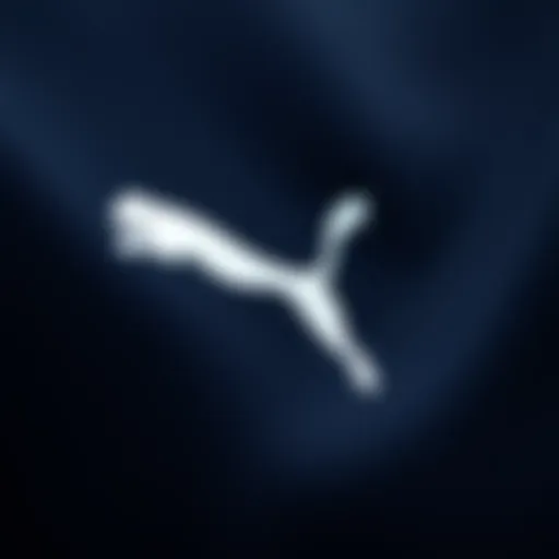 Puma logo showcasing its brand identity in sportswear