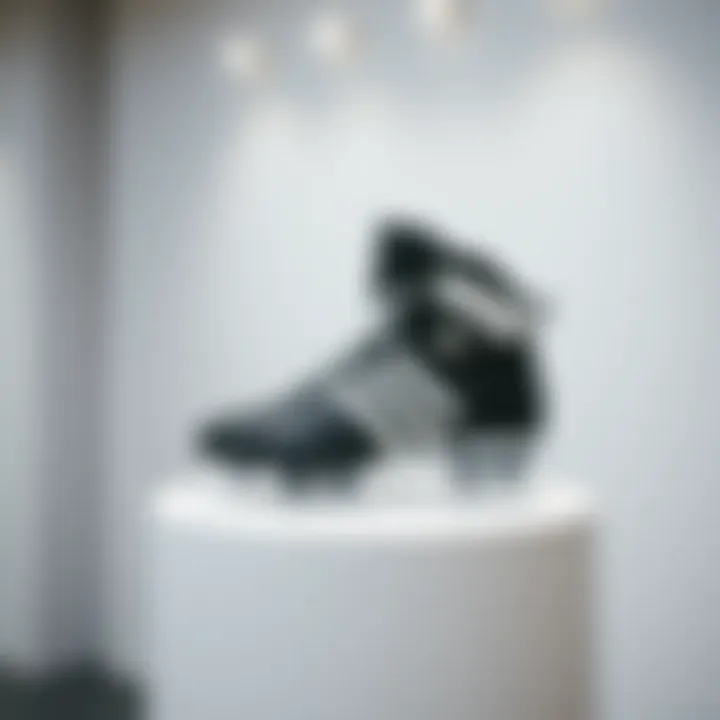 Stylish Ronaldo shoes on a pedestal