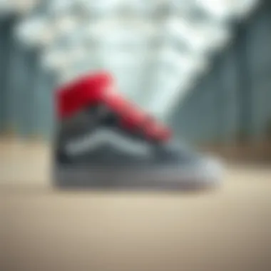 Stylish design of Vans baby footwear