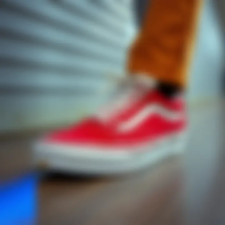 Vans shoes suitable for various occasions