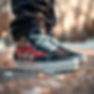 Diverse Design Options for Winter Shoes A variety of design options available in Vans winter shoe collection.