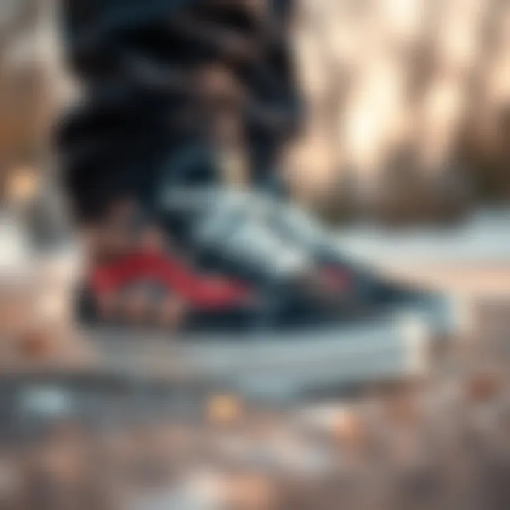 Diverse Design Options for Winter Shoes A variety of design options available in Vans winter shoe collection.