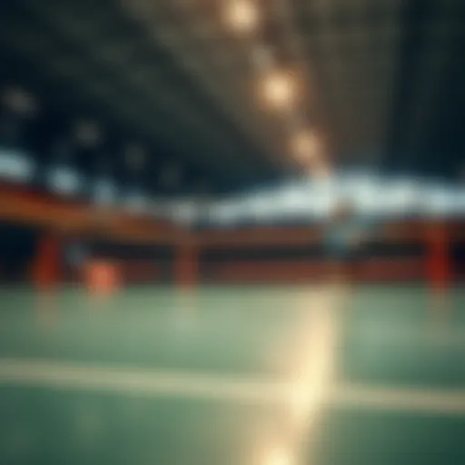 Voleybol oyun alanı ve sayı çizgileri