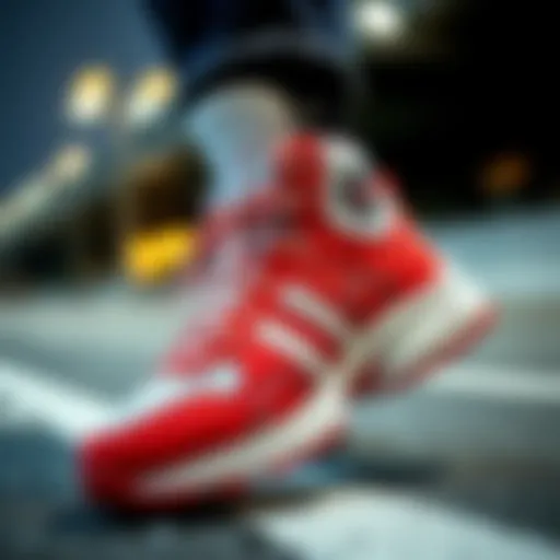 Stylish winter sports footwear