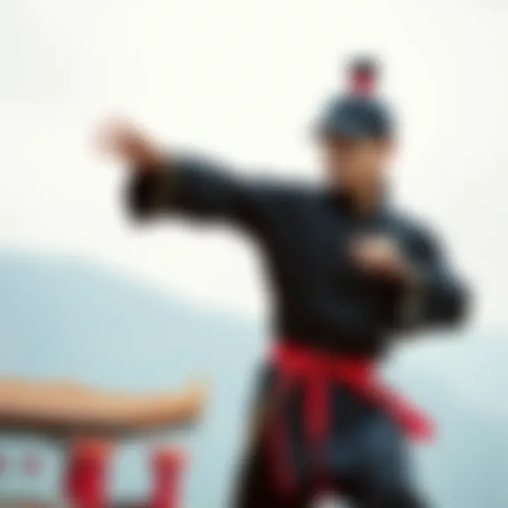 Illustration of health benefits associated with practicing Wushu