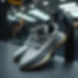 Stylish Yeezy slippers displayed elegantly