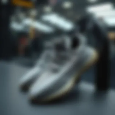 Stylish Yeezy slippers displayed elegantly