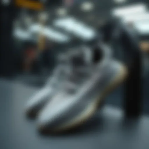 Stylish Yeezy slippers displayed elegantly